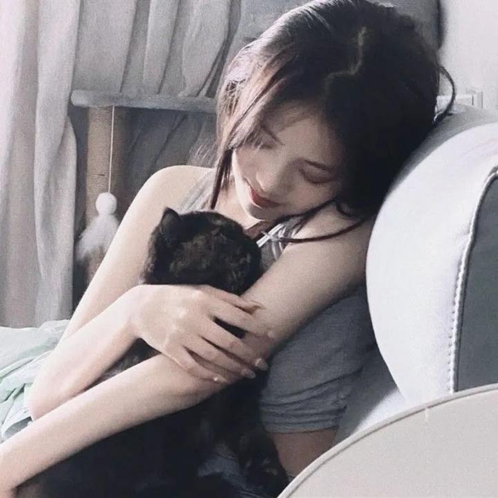 蓬车英雄传 在线观看